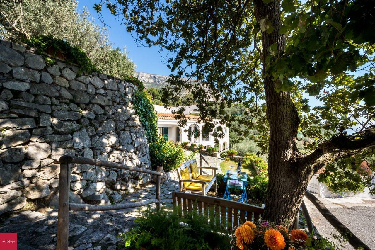 Apartmán Il Nibbio Piano di Sorrento Exteriér fotografie