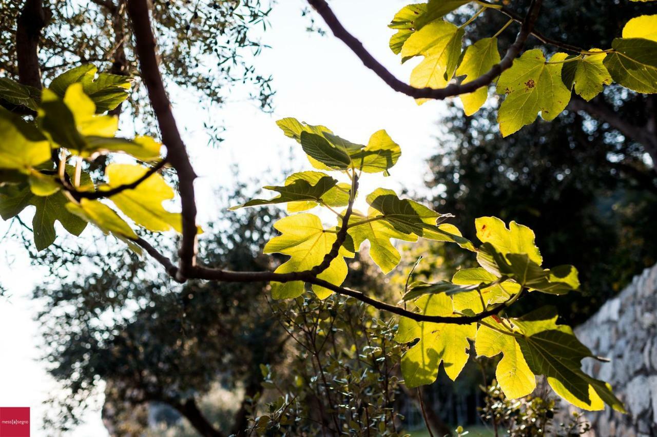 Apartmán Il Nibbio Piano di Sorrento Exteriér fotografie